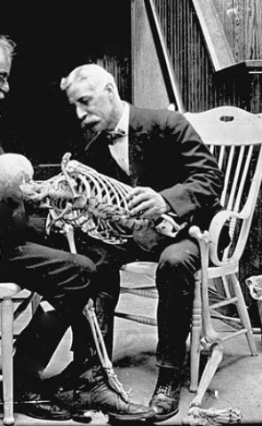 di-filippo-osteopatia-storia-13